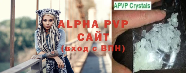 крисы Кодинск