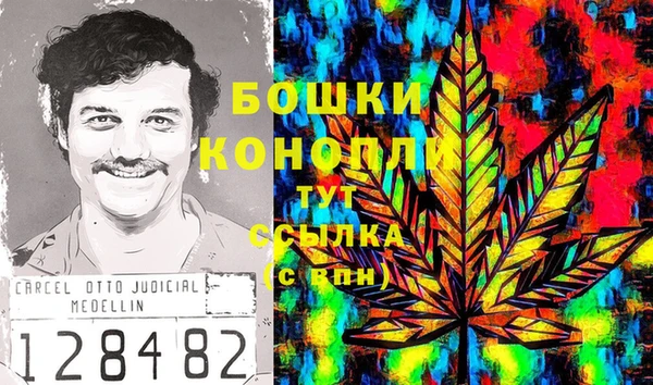 крисы Кодинск