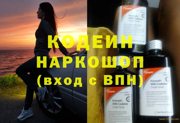крисы Кодинск