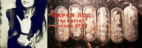 крисы Кодинск