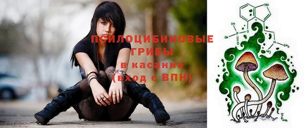дурь Козельск